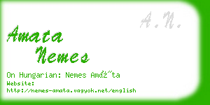 amata nemes business card